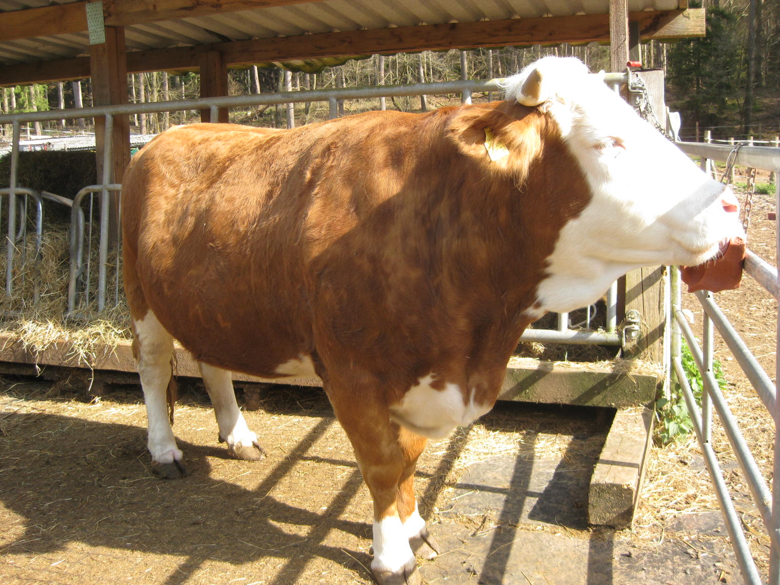 Mariechen am Leckstein