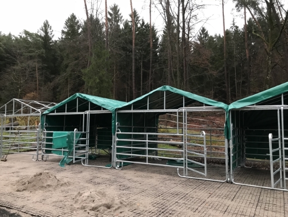 Aufbau der Ziegen-Notunterkunft